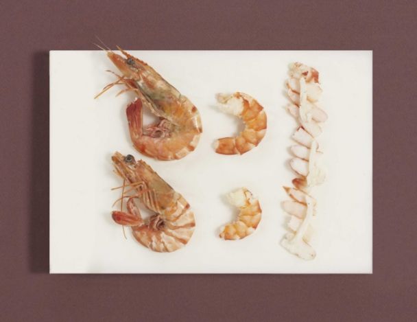Préparation des crevettes
