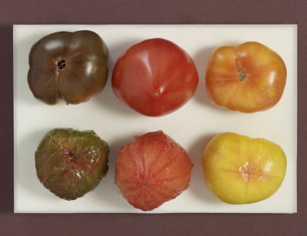 Monder les tomates