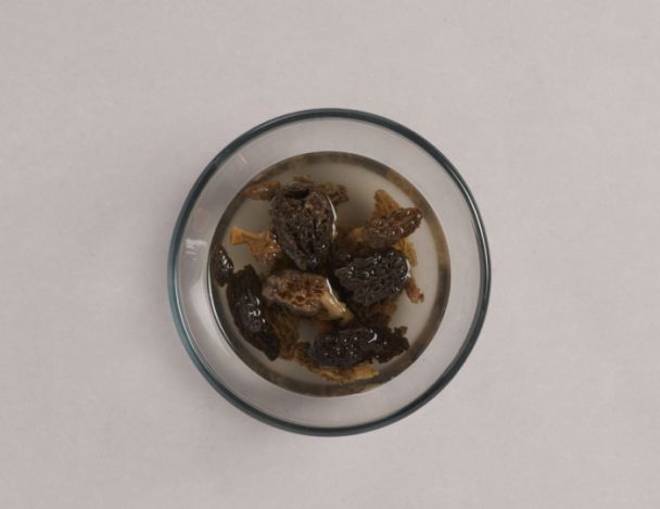 Préparation des morilles