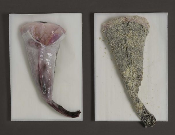 Préparation de la lotte