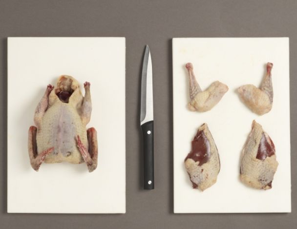 Préparation des pigeons