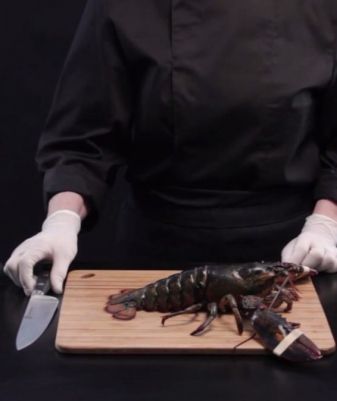 Préparer un homard