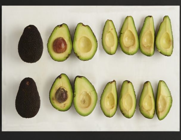 Découpe de l'avocat