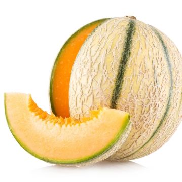 Le melon