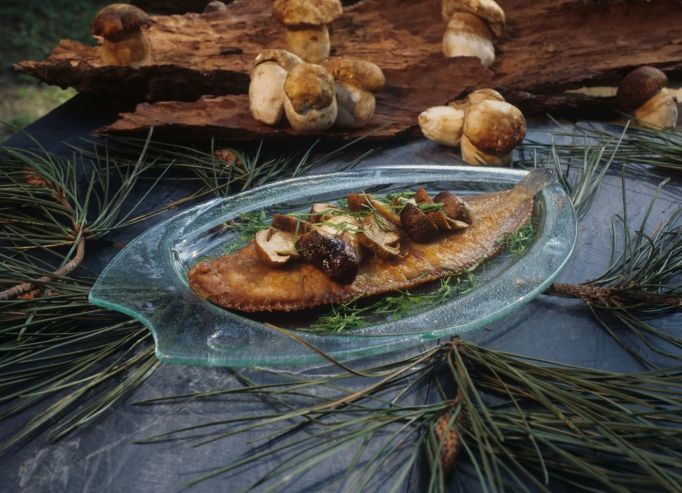 Sole aux cèpes
