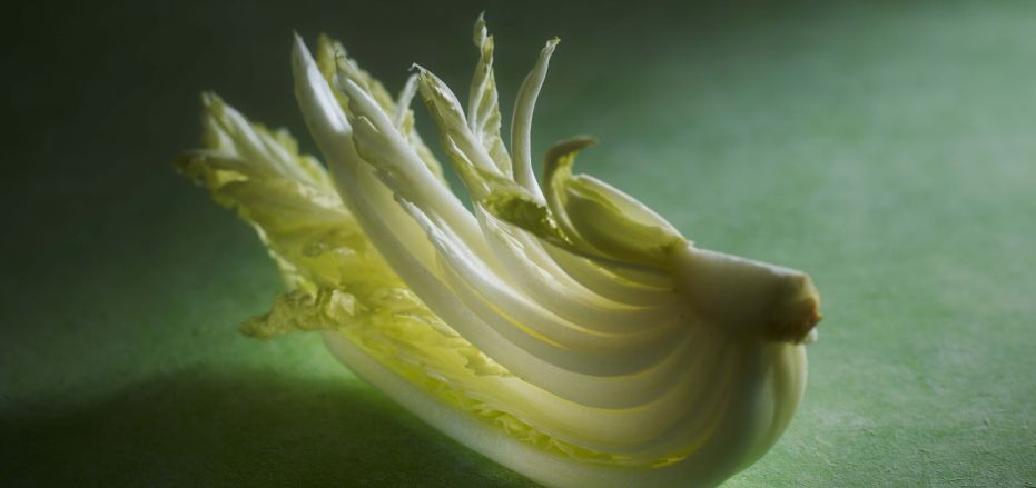 Studio Julien Bouvier - Julien Bouvier