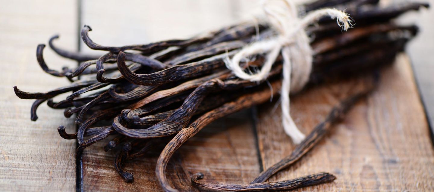 Tout sur la vanille