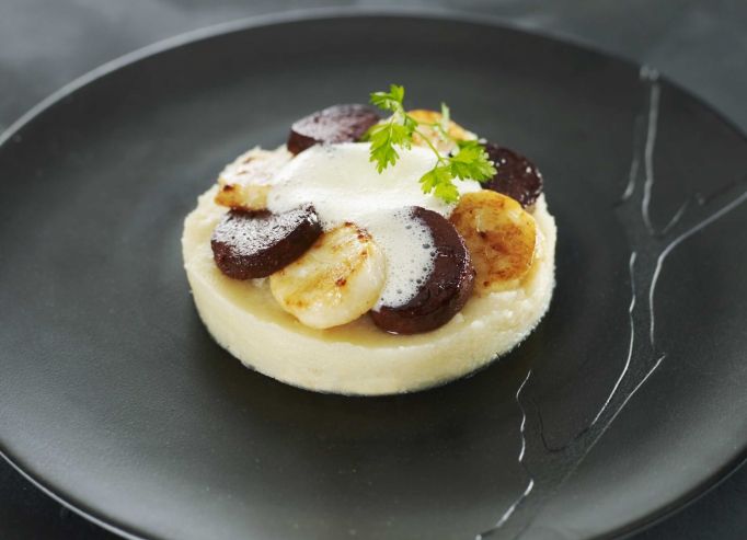 Saint Jacques rôties, Mousseline de céleri, émulsion de bardes