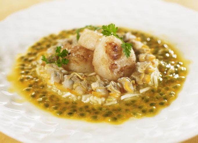 Salade de St Jacques, céleri rémoulade et marinières de coques